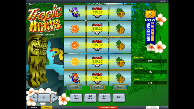 Tropic Reels 6